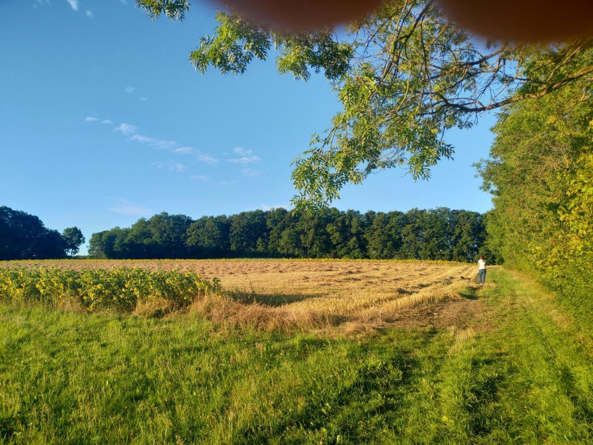 Haus Ringgau - Urlaub, Gemeinschaft Und Erlebnis Im Herzen Von Deutschland 헤어레스하우젠 외부 사진