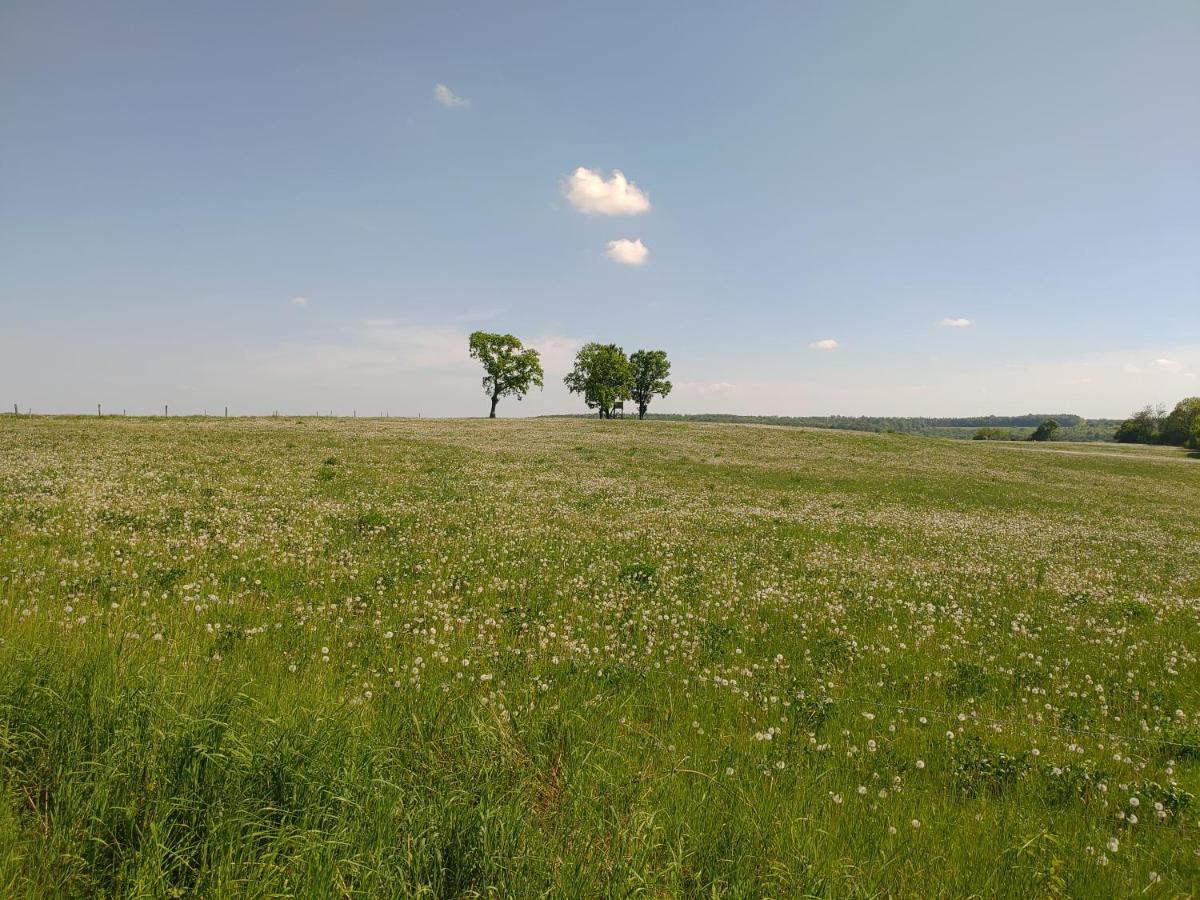 Haus Ringgau - Urlaub, Gemeinschaft Und Erlebnis Im Herzen Von Deutschland 헤어레스하우젠 외부 사진
