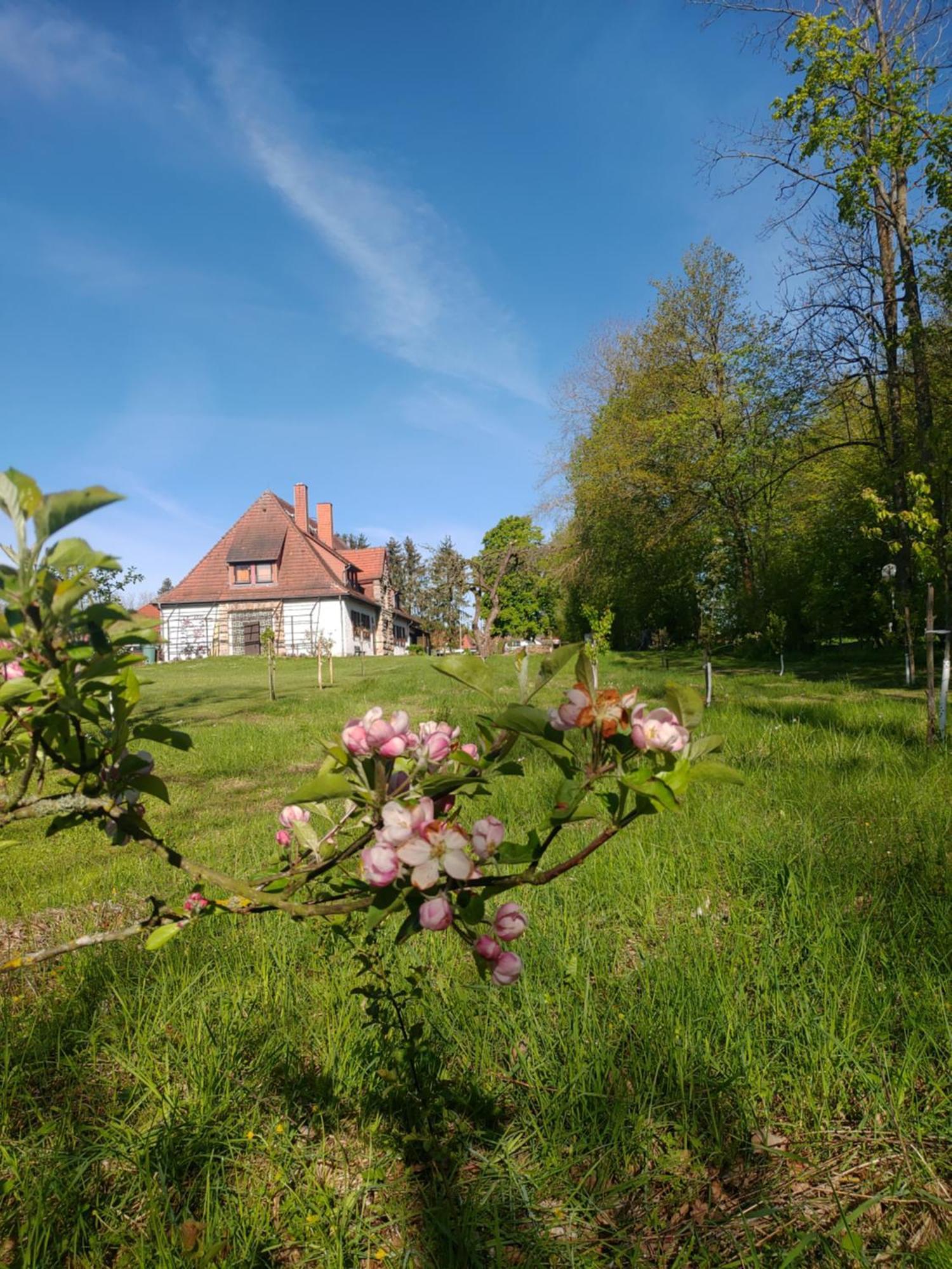Haus Ringgau - Urlaub, Gemeinschaft Und Erlebnis Im Herzen Von Deutschland 헤어레스하우젠 외부 사진
